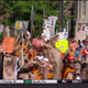 Illustration for article titled Tebow Jokes: Your Knoxville College GameDay Sign Roundup
